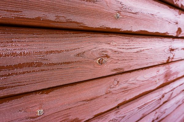 Cedar Siding Cleaning in Mason