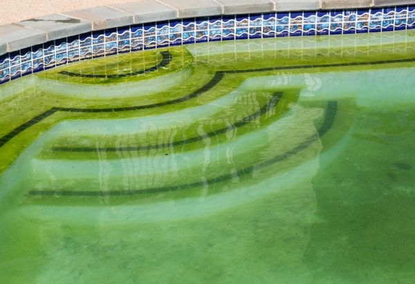 Pool Deck Algae Removal in Mason