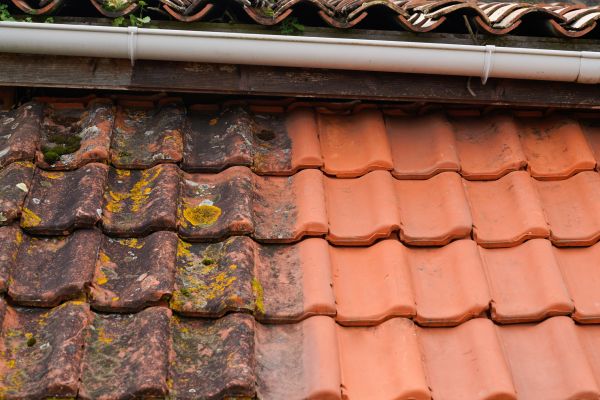 Industrial Roof Cleaning in Mason