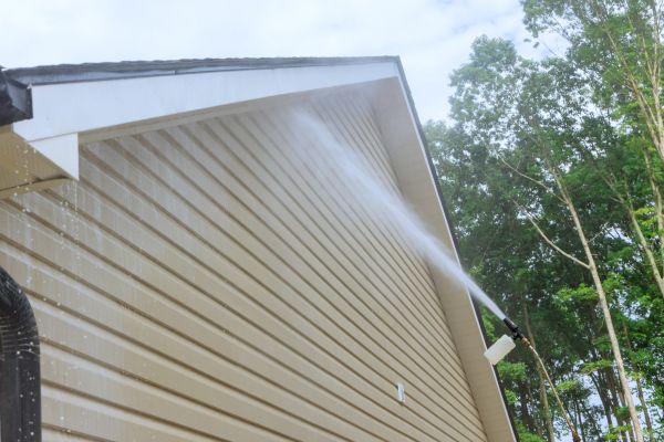 Siding Cleaning Service in Mason