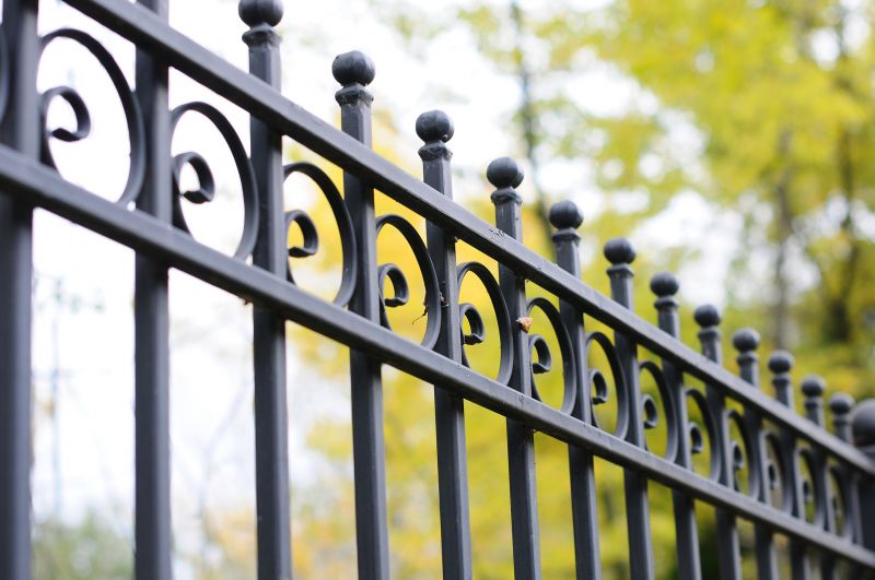 Iron Fence Cleaning